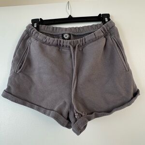 Pacsun Women's Gray Fleece Drawstring Shorts